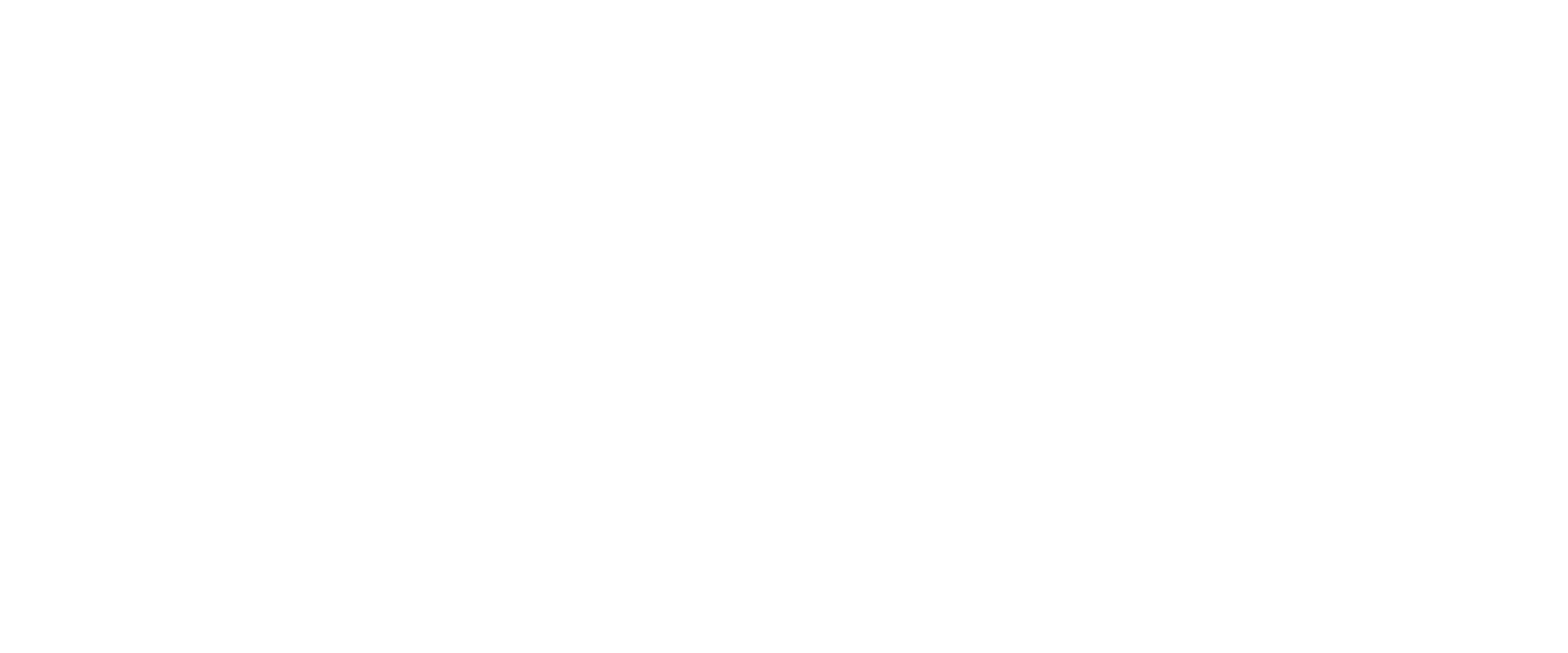 LMN logo 